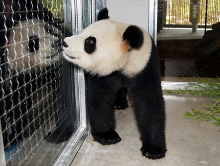 Adelaide Zoo - Accommodation in Bendigo 3