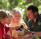 Cleland Wildlife Park - Accommodation in Bendigo
