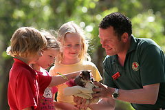 Cleland Wildlife Park - Accommodation in Bendigo 0