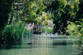 Cleland Wildlife Park - Accommodation in Bendigo 1