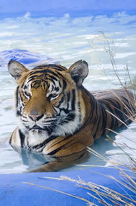  Accommodation in Bendigo