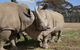 Monarto Zoo - thumb 0