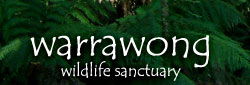 Warrawong Wildlife Park - Accommodation in Bendigo 0