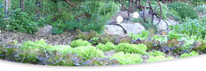 Calmsley Hill City Farm - Accommodation in Bendigo 1