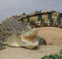 Dundee's Wildlife Park - Accommodation in Bendigo