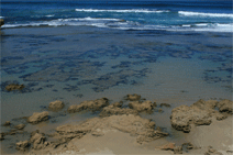 Canberra Contemporary Art Space - Accommodation in Bendigo 0