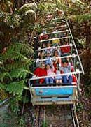Scenic World Blue Mountains - Accommodation in Bendigo 2