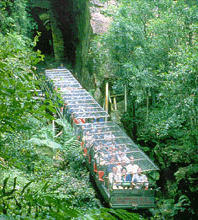 Scenic World Blue Mountains - thumb 3