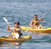 Manly Kayaks - Accommodation in Bendigo