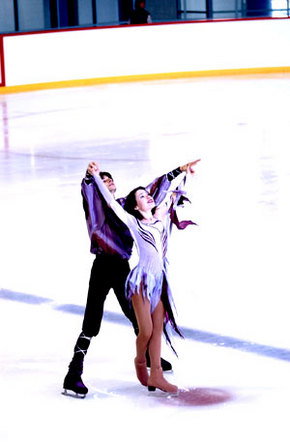 Sydney Ice Arena - Accommodation in Bendigo 1