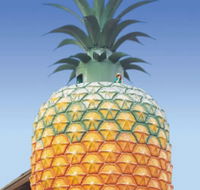 The Big Pineapple - Accommodation in Bendigo