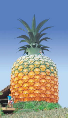 The Big Pineapple - Accommodation in Bendigo 0