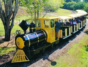 The Big Pineapple - Accommodation in Bendigo 1