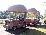 The Big Pineapple - Accommodation in Bendigo 2