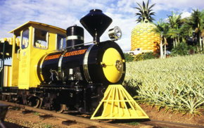 The Big Pineapple - Accommodation in Bendigo 3