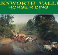 Glenworth Valley Horseriding - Accommodation in Bendigo