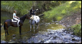 Glenworth Valley Horseriding - Accommodation in Bendigo 1