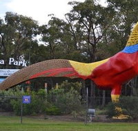 Gumbuya Park - Accommodation in Bendigo