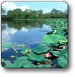 Kakadu National Park - Accommodation in Bendigo 3