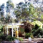 Koala Conservation Centre - Accommodation in Bendigo 1