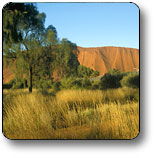 Kunparrka NT Accommodation in Bendigo