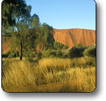 Uluru - Kata Tjuta National Park - Accommodation in Bendigo