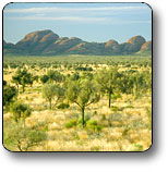 Uluru - Kata Tjuta National Park - Accommodation in Bendigo 2