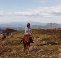 High Country Horses - Accommodation in Bendigo