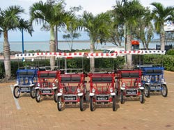 Beach Safaris - Accommodation in Bendigo 1