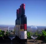 Mount Tamborine Winery  Homestead - Accommodation in Bendigo