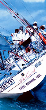 Koala Adventures - Accommodation in Bendigo 1