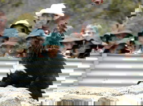  Accommodation in Bendigo