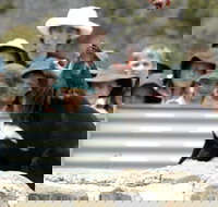 Tasmania Zoo - Accommodation in Bendigo