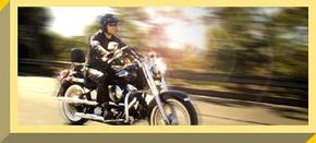 Easy Rider - Accommodation in Bendigo 1