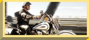 Easy Rider - Accommodation in Bendigo 2