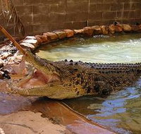 Wyndham Zoological Gardens and Crocodile Park - Accommodation in Bendigo
