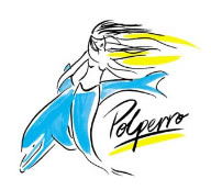 Polperro Dolphin Swims - Accommodation in Bendigo 0