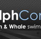 Dolphcom - Dolphin  Whale Swimming Adventures - Accommodation in Bendigo