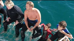 Dolphcom - Dolphin & Whale Swimming Adventures - Accommodation in Bendigo 2