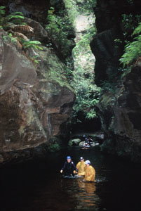 High And Wild Mountain Adventures - Accommodation in Bendigo 1