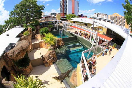 Crocosaurus Cove - Accommodation in Bendigo 1