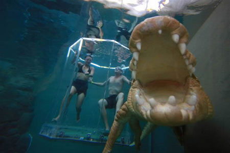 Crocosaurus Cove - Accommodation in Bendigo 3