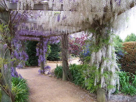 Abingdon Miniature Village - Accommodation in Bendigo 0