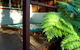 Hidden Valley Eco Spa Lodges & Day Spas - thumb 1