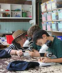 Australian National Botanic Gardens - Accommodation in Bendigo 2
