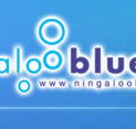 Ningaloo Blue Dive - Accommodation in Bendigo