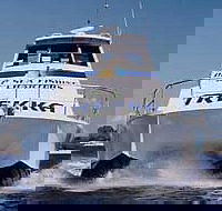 Sunshine Coast Fishing Charters - Accommodation in Bendigo
