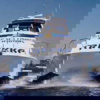 Sunshine Coast Fishing Charters - Accommodation in Bendigo 0