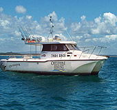 Sunshine Coast Fishing Charters - Accommodation in Bendigo 1