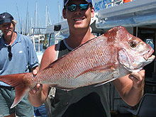 Sunshine Coast Fishing Charters - Accommodation in Bendigo 2